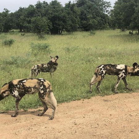 Marula Lodge Mfuwe Ngoại thất bức ảnh