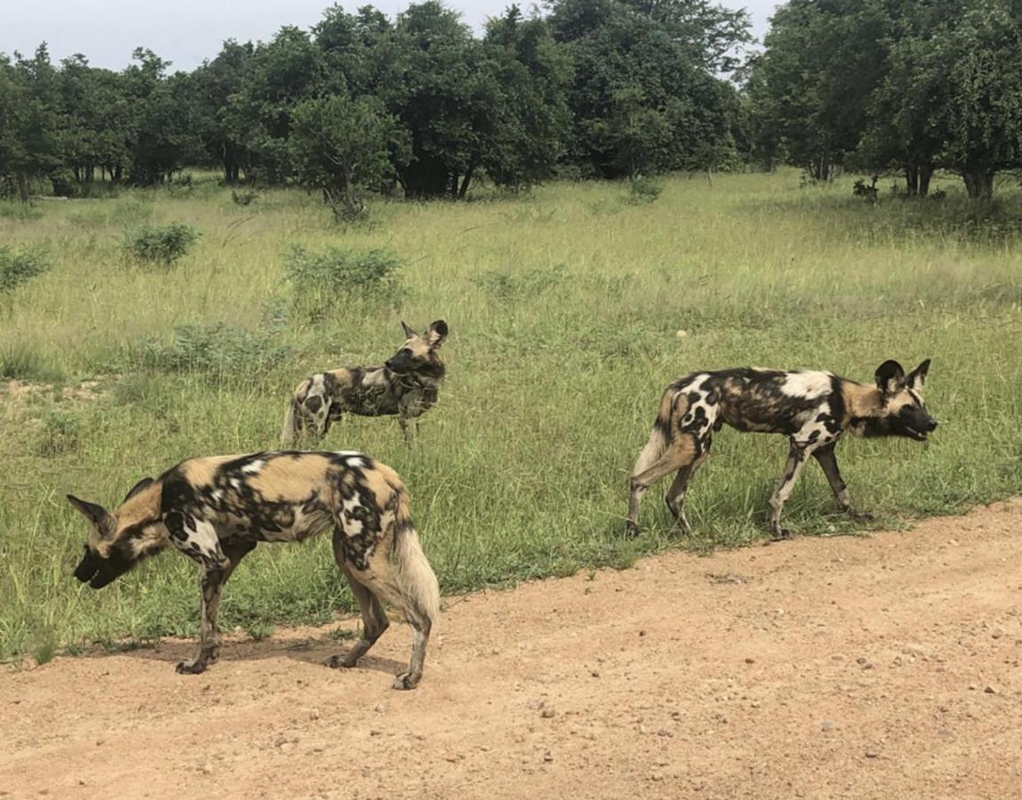 Marula Lodge Mfuwe Ngoại thất bức ảnh